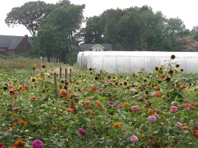 Grossman's Farm