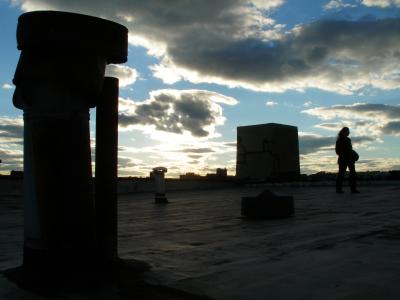 Rooftop Silhouettes