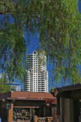 View Of A High Rise From Seaport Village