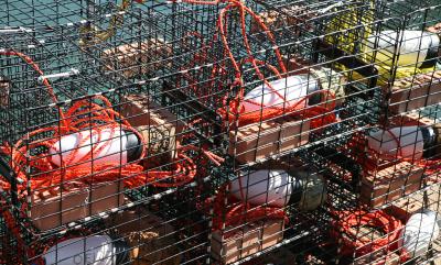 Lobster Traps Sitting On The Dock