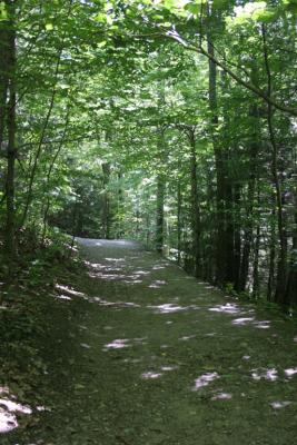 IMG_1830.jpg