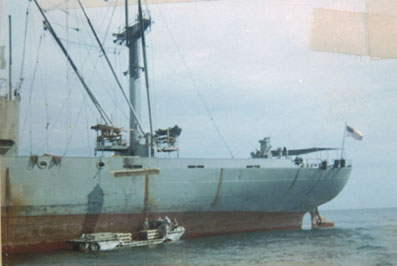 v3/37/545937/1/45340562.UTapaoLark4sXportBombs01.jpg