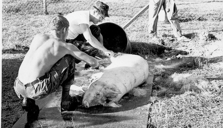 Dave Bohler, Dewey Williams, and  Pig, soon to be Guest of Honor