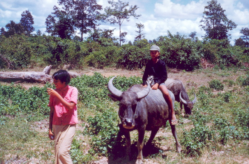 063 - Thai girl and her brother minding the family water buffalo