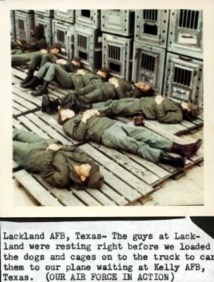 v3/37/545937/3/44978931.LtoRTtoBWoodard3unkTomStewartGeorgeJulianRonLewisChritiano.jpg