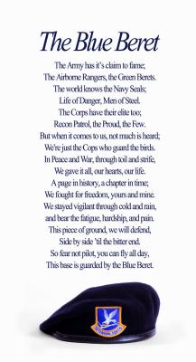 v3/37/545937/3/44993913.usafblueberet.jpg
