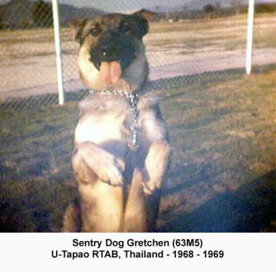 v3/37/545937/3/44997199.Gretchen63M51.jpg