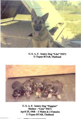 Lita-9M71 & her Puppies