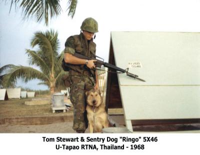v3/37/545937/3/44997560.Ringo5X46TomStewart2.jpg
