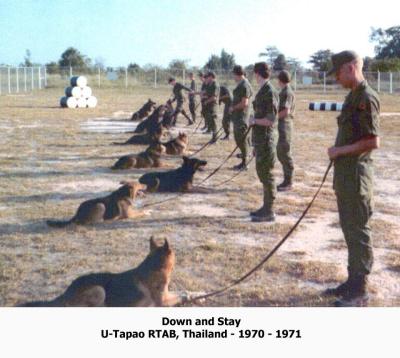 Training  1970-1971
