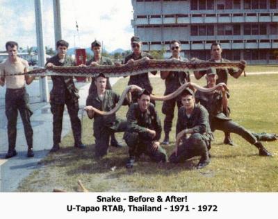 Snake - Before and After