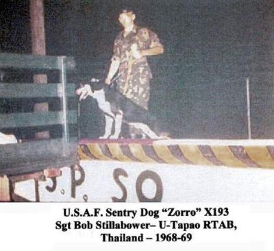 v3/37/545937/3/45099782.ZorroX193.jpg
