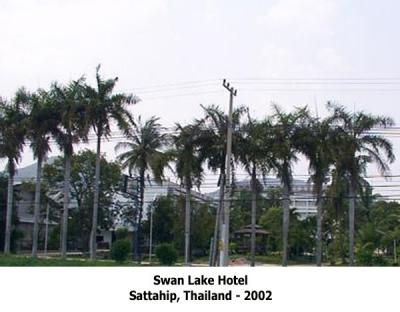 swan lake hotel 2002
