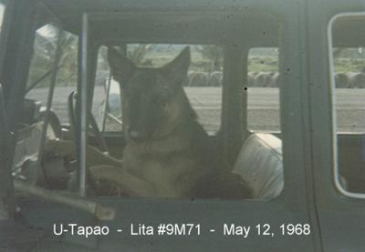 Lita-9M71 in Truck