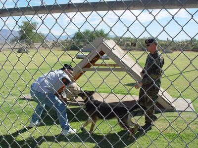 Friday-Davis Monthan Kennel Tour-26