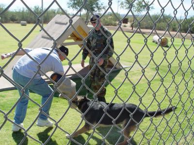 Friday-Davis Monthan Kennel Tour-29