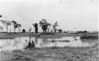 Udorn Kennel area 1969