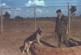 Me and Prince-839X in a bunker at the kennels.