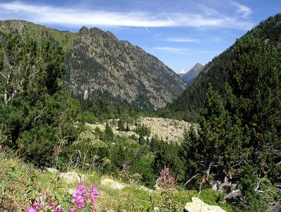 v3/37/556037/3/49321255.P8123294_small.jpg