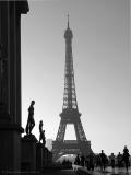 Palais de Chaillot - Tour Eiffel 1