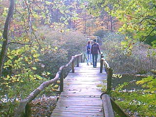 v3/37/572137/1/46191483.bridge1.jpg