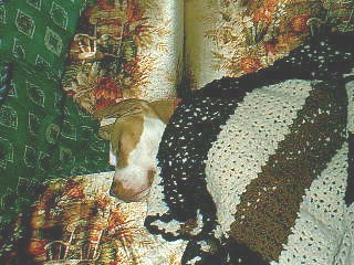nap time