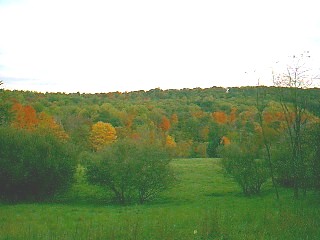 Berkeley Springs 2002