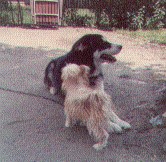 Titan & Charlie