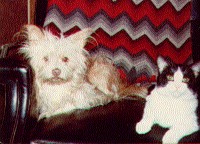 Charlie & Boris