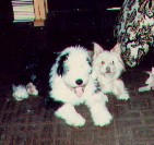 Josh & Charlie