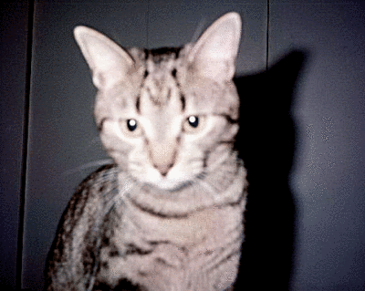 v3/37/572137/3/45758027.IMG07tabs.jpg