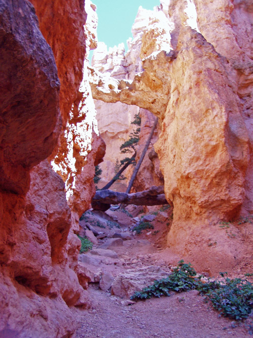 w_P8300027 Bryce Canyon NP2.jpg
