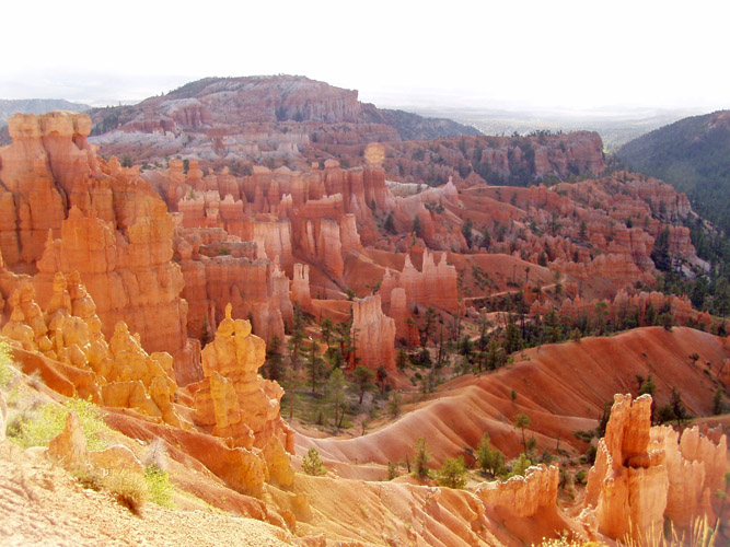 w_P8300009 Bryce Canyon NP2.jpg