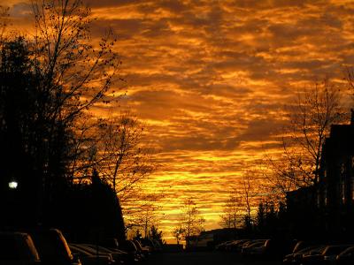 Sunrise from my street in Herndon