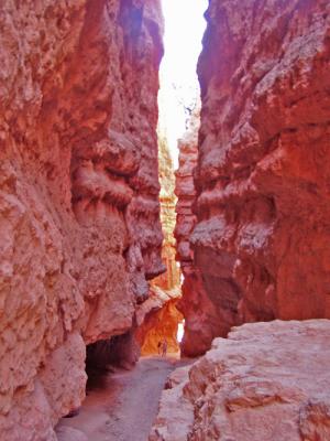 w_P8300022 Bryce Canyon NP2.jpg