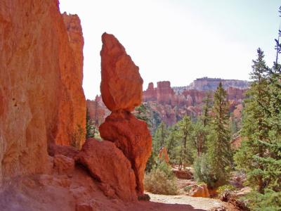 w_P8300023 Bryce Canyon NP2.jpg