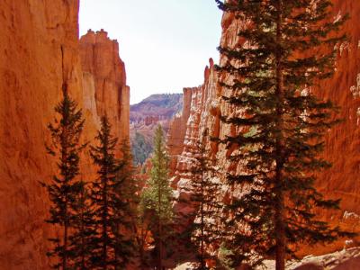 w_P8300028 Bryce Canyon NP.jpg