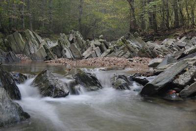 _MG_0044.JPG