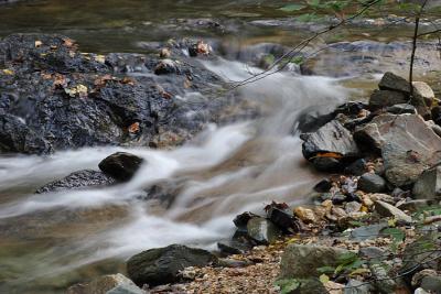 _MG_0073.JPG