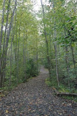 _MG_0089.JPG