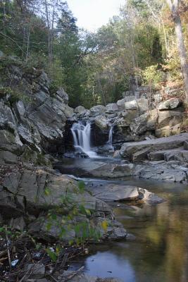 _MG_0091.JPG