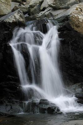 _MG_0093.JPG