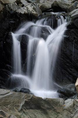 _MG_0105.JPG