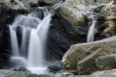 _MG_0106.JPG