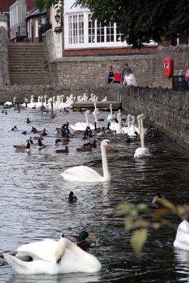By the Thames
