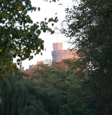 Castle through trees