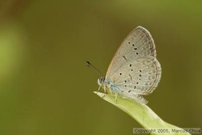 v3/37/602937/3/50515283.dsc_1065_std.jpg