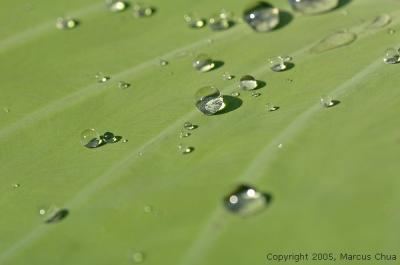 v3/37/602937/3/51836518.dsc_6136_std.jpg