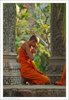 Roy @ Angkor Wat, Cambodia