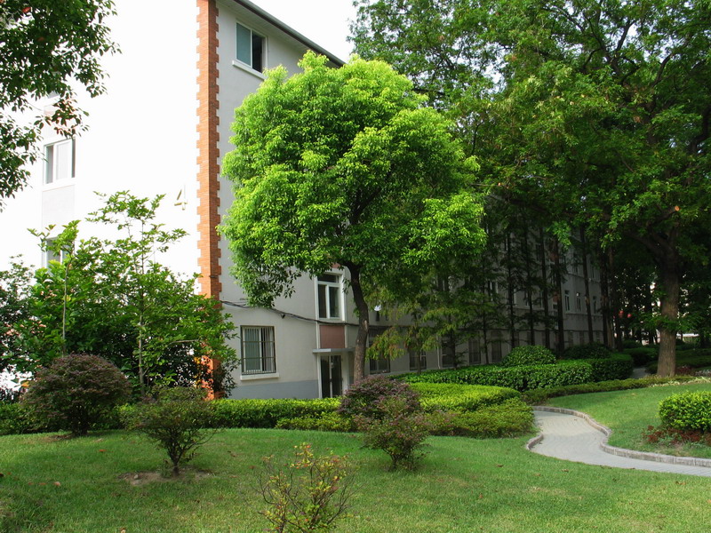 Girls dormitory - so called panda house